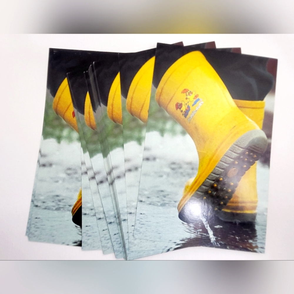 50 Postcards for Fall 2024  8.5 x 5.5